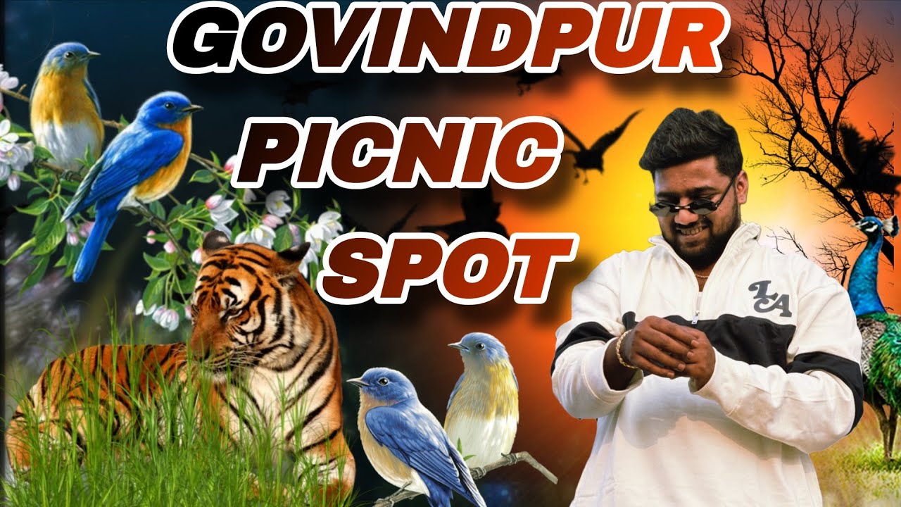 The Hidden Gem of Odisha: Govindpur Picnic Spot, Bargarh