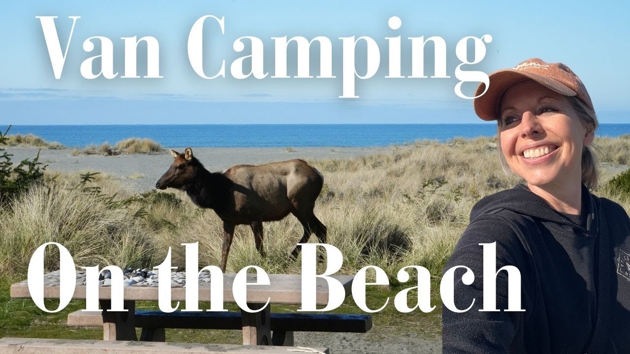 Beach Camping with Elk | A Van Life Adventure by the Ocean