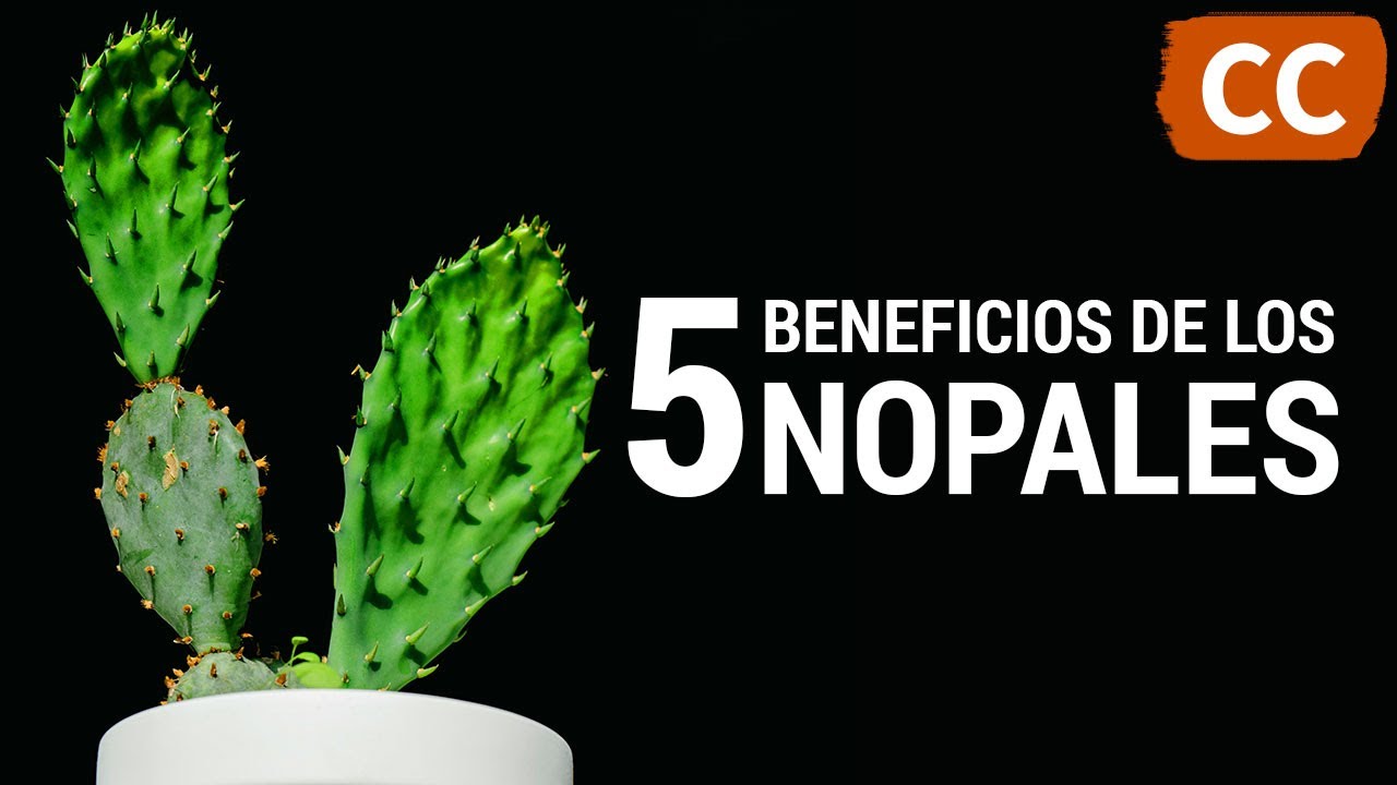 5 Beneficios de los Nopales | Ciencia de la Comida