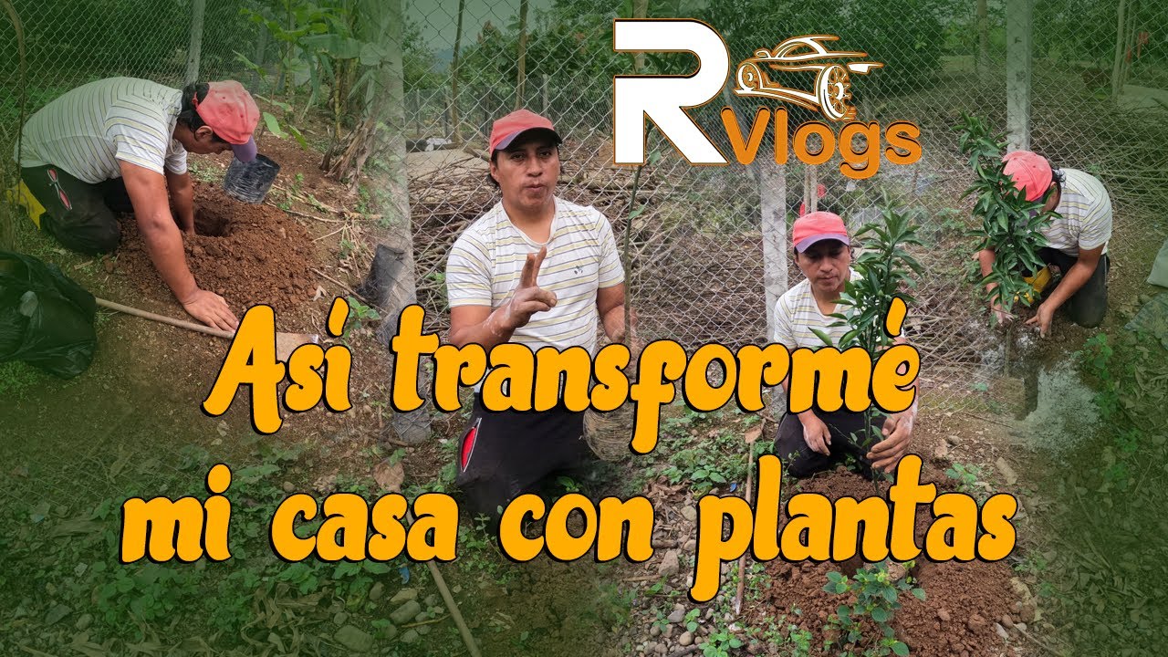 Plantando mis nuevas plantas en casa RaymitoVlogs