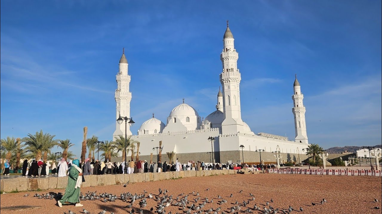 Umrah Vlog | Ep 2 : Ziarah Madinah