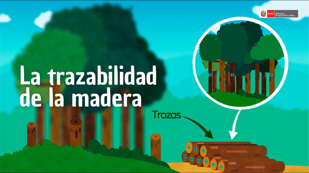 La trazabilidad de la madera