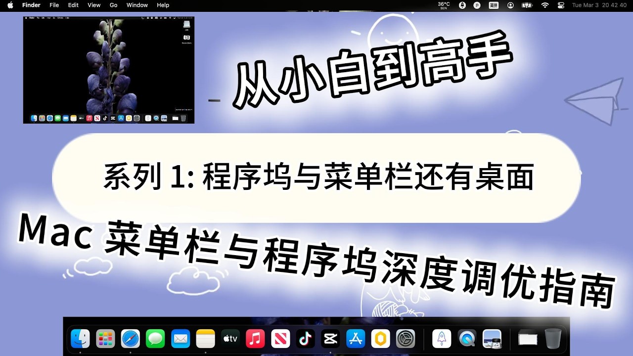 【2026最新】从小白到高手｜Mac 菜单栏与程序坞深度调优指南｜一步到位｜程序坞｜菜单栏｜桌面（CC字幕）