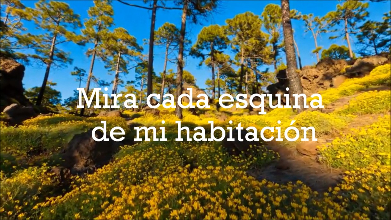 Limpiame   Yashira Guidini   Letra