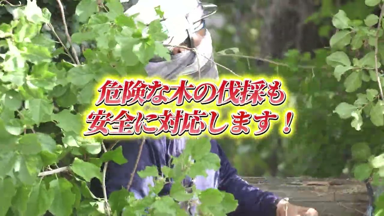 群馬県渋川市周辺でお庭のことなら”田村工業” B