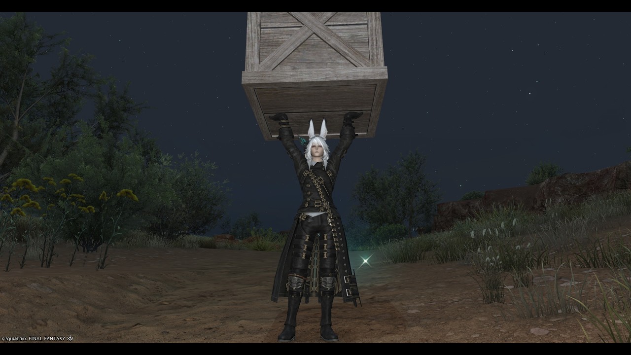 【FF14】今週分の記憶を手に入れる男の戦い。（295/450）