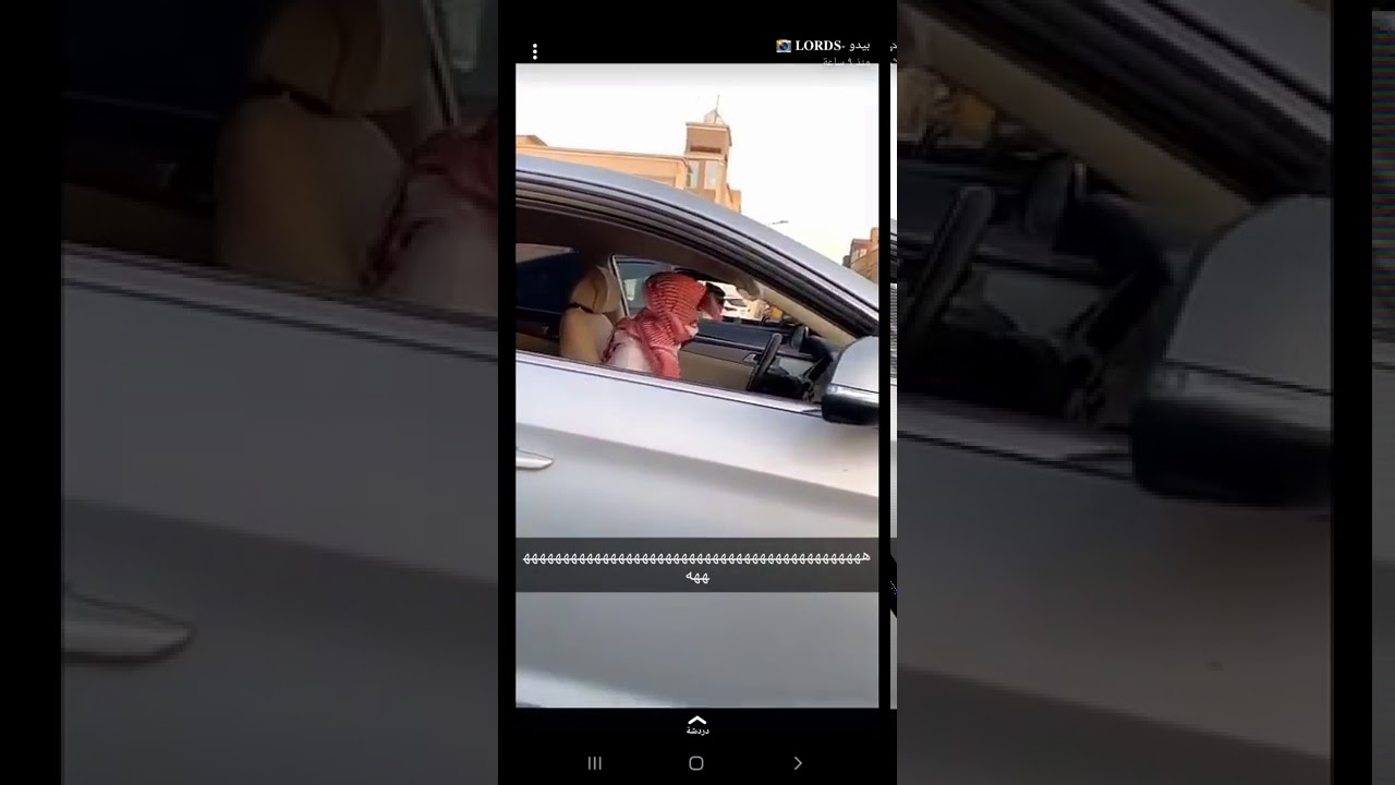 بيدو راعي السوناتا و الدب تفحيط