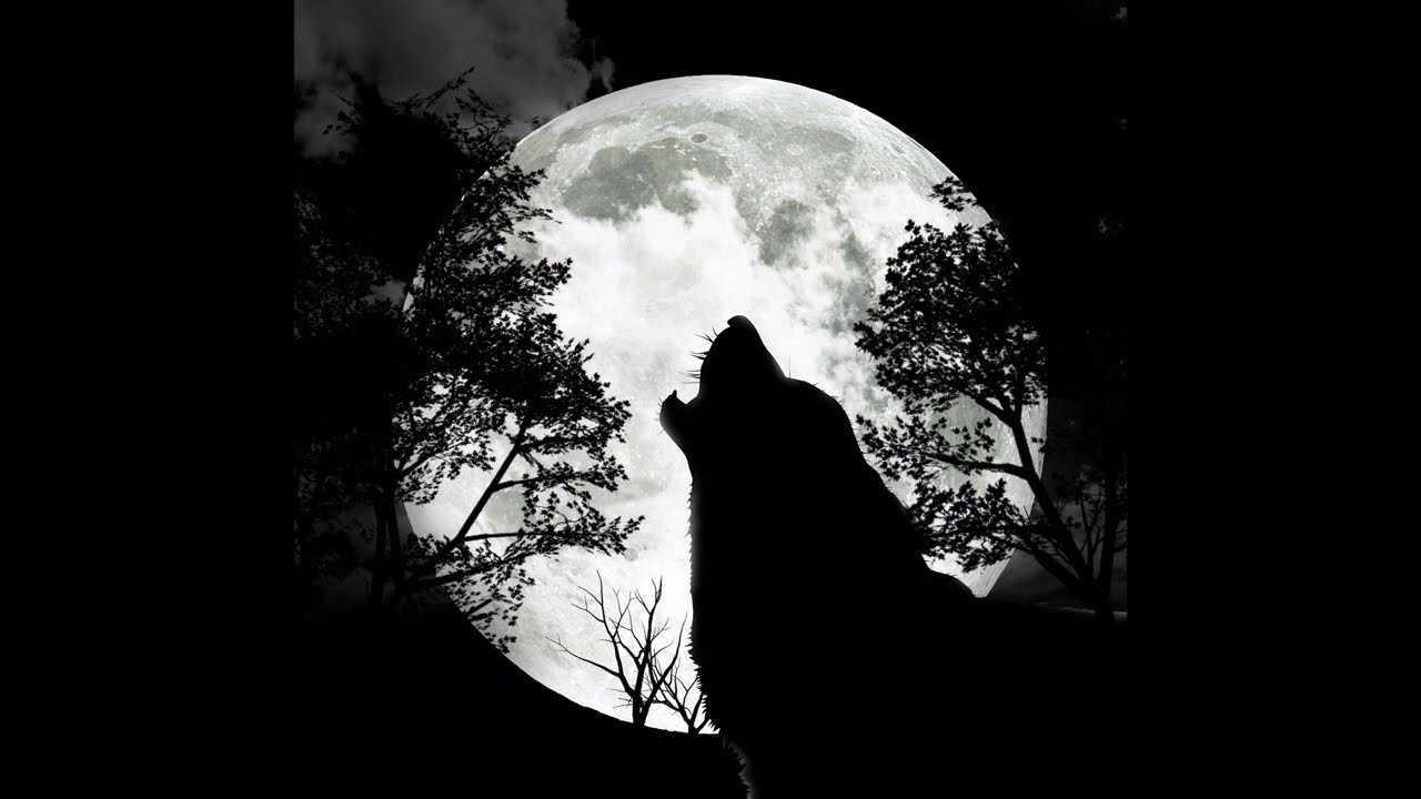 MUSE - HUNGRY LIKE THE WOLF with lyrics -- Vietsub