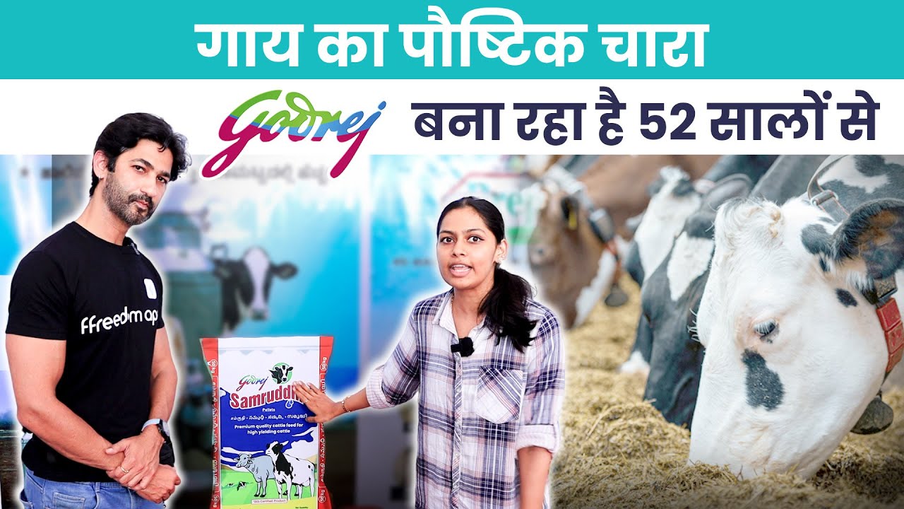 52 सालों से लोगों का भरोसा Godrej Cattle Feed है आपके गाय-भैंस के लिए पौष्टिक आहार