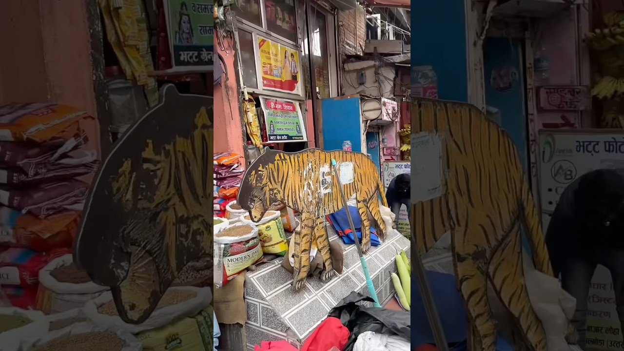 Almora ki market wala vlog #youtubeshorts #vbloger #daillyvlogger #marketvlog #almoravlog #pahadvlog