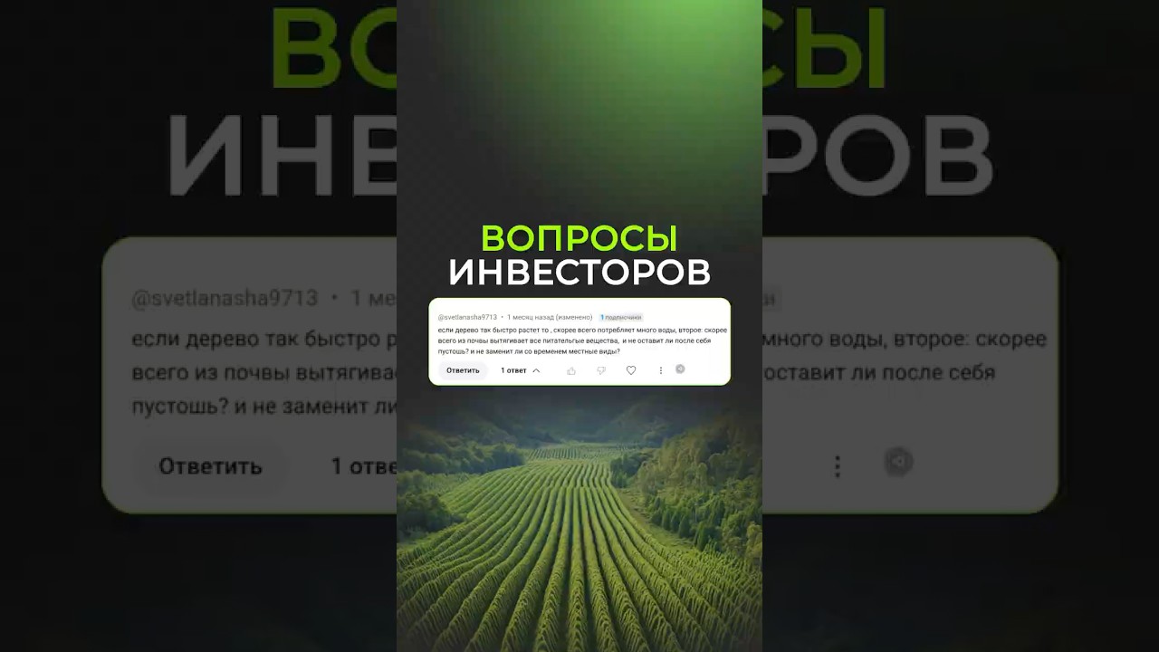 Дерево, которое скоро заменит всю древесину! 