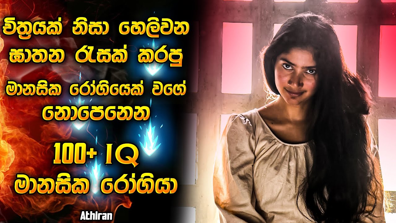 චිත්‍රයක් නිසා හෙලිවෙන්න යන මානසික රෝගියෙක් වගේ නොපෙනන 100+ IQ මානසික රෝගියා 😱 | Movie explanation