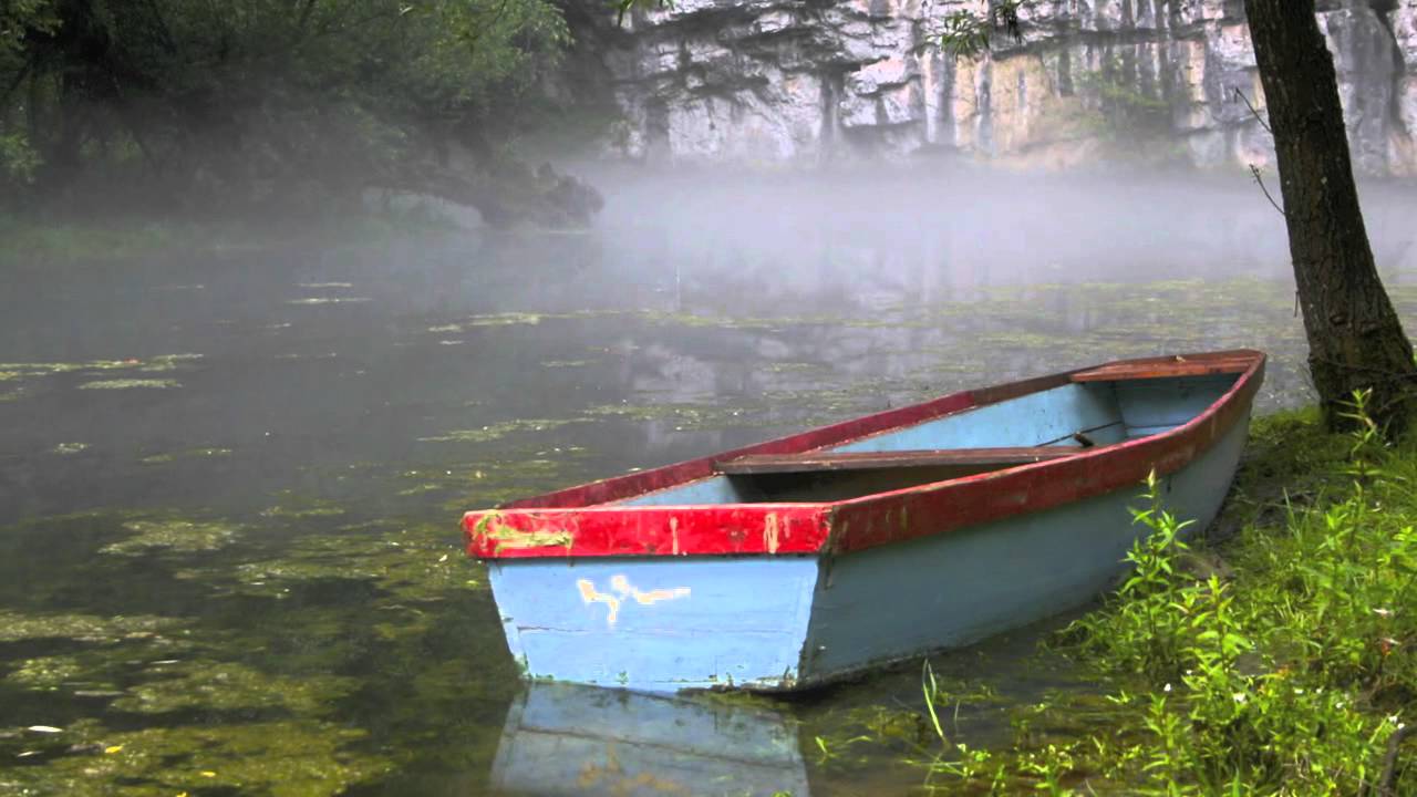 Forest River -- Guided Meditation to Let Go