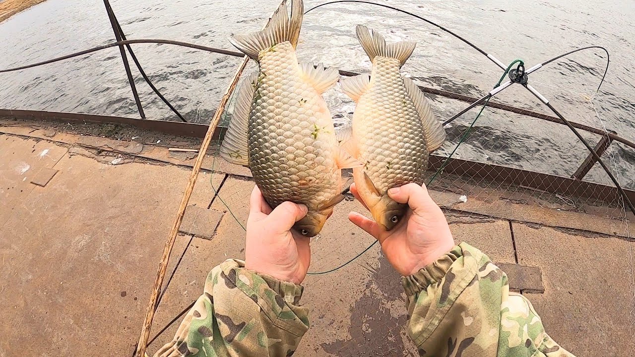 ЕСТЬ! ЕСТЬ! ЕСТЬ!!! НАКОНЕЦ-ТО ДОЖДАЛИСЬ ОТКРЫТОЙ ВОДЫ!!! НАТЯГАЛ РЫБЁХИ И ДОМОЙ. Рыбалка на паук