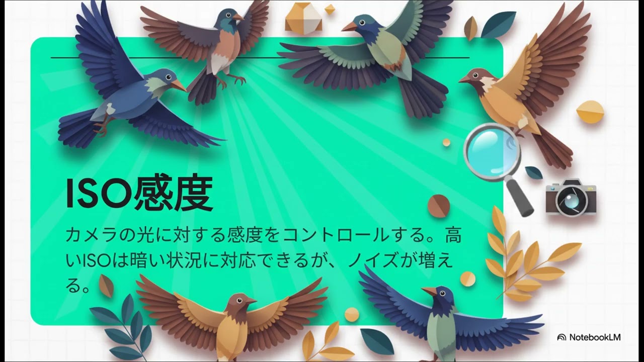 野鳥の美しく捉える撮影術【鳥ビア】