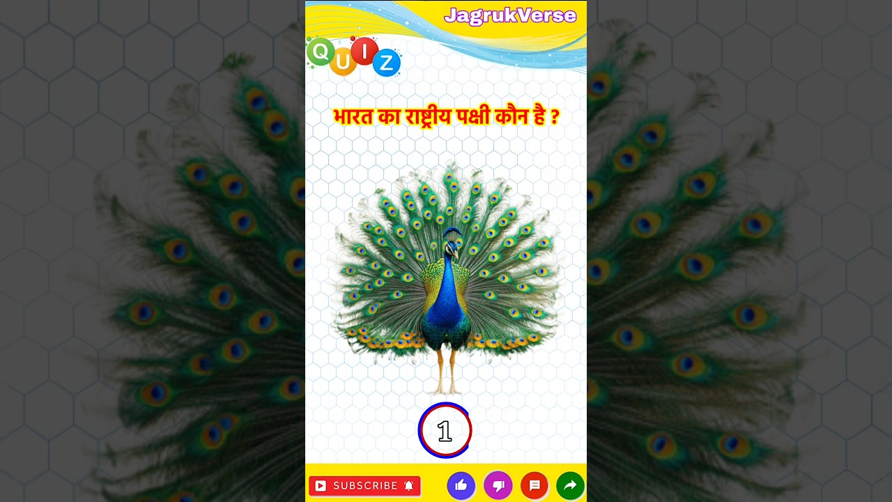 भारत का राष्ट्रीय पक्षी कौन सा है | Which is the national bird of India #india #pakshi #viral #gk