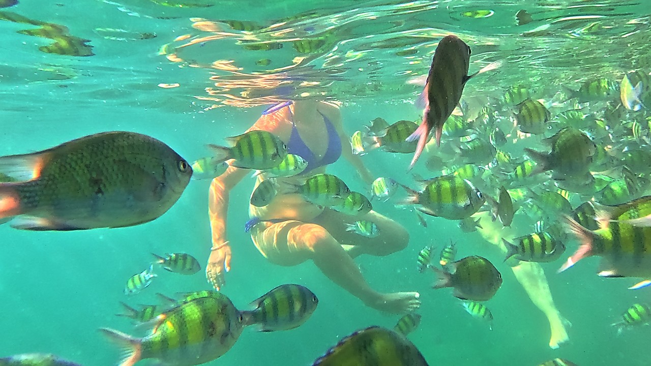 Phi Phi Islands | Underwater World | Relaxing Underwater Sounds | Places To Visit in Krabi, Thailand