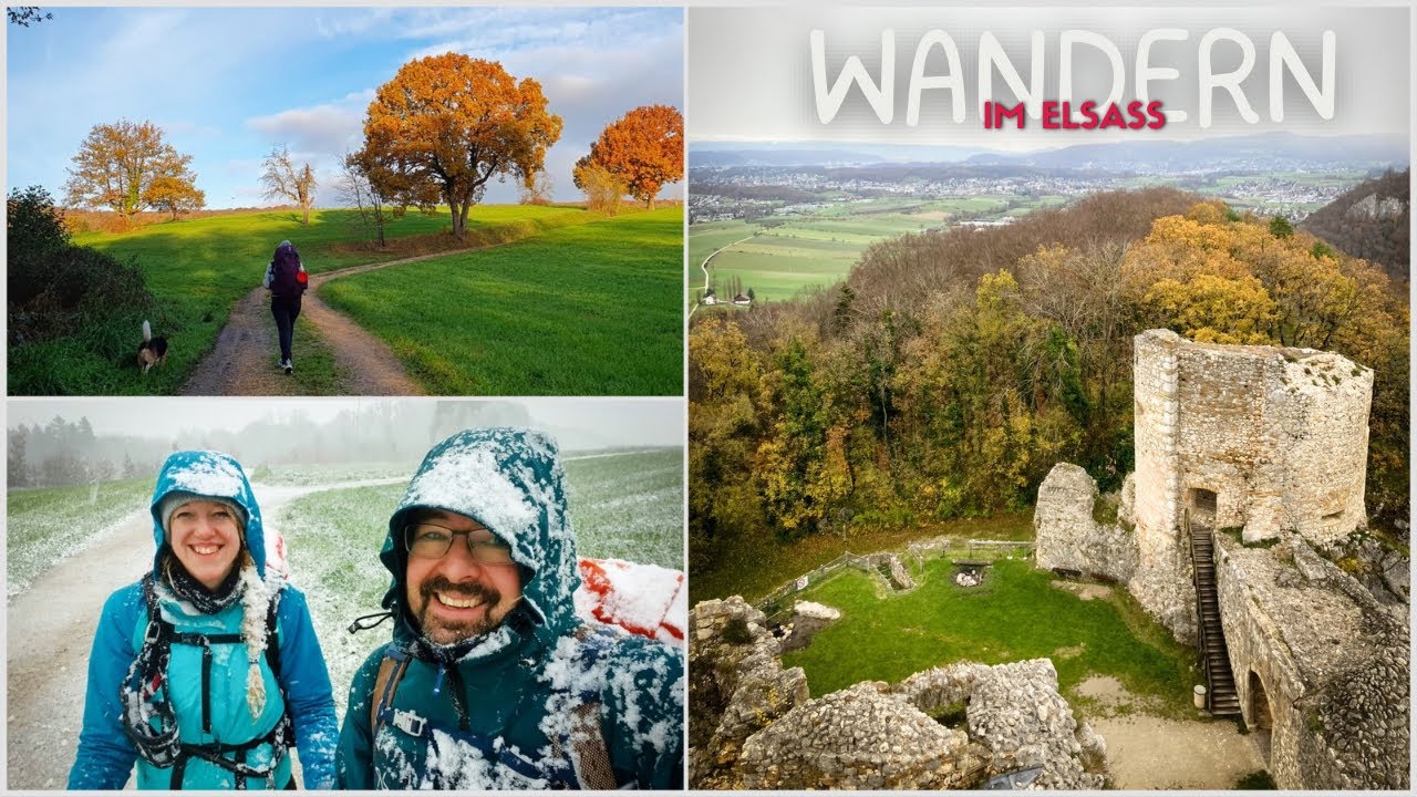 Eine Woche wandern im Elsass // Wald, Burgen & schnuckelige Dörfer 😍