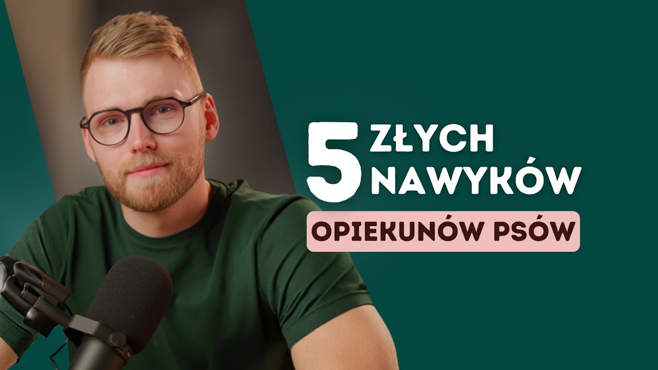 5 złych nawyków opiekunów psów