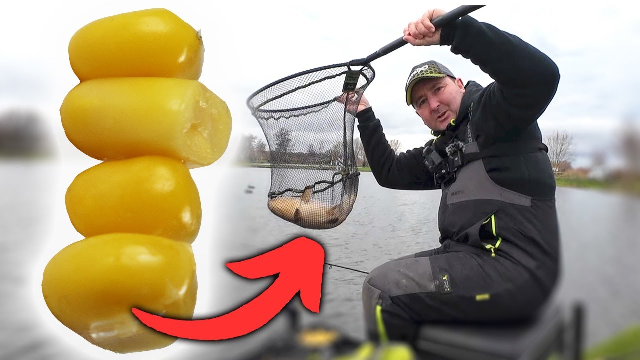 Winter Fishing with Sweetcorn! 🌽