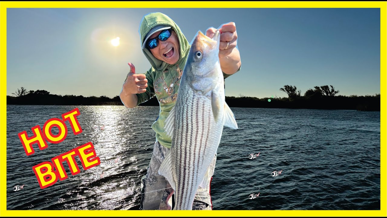STRIPER FISHING Rio Vista CA Delta | ELEVEN TAKEDOWNS!