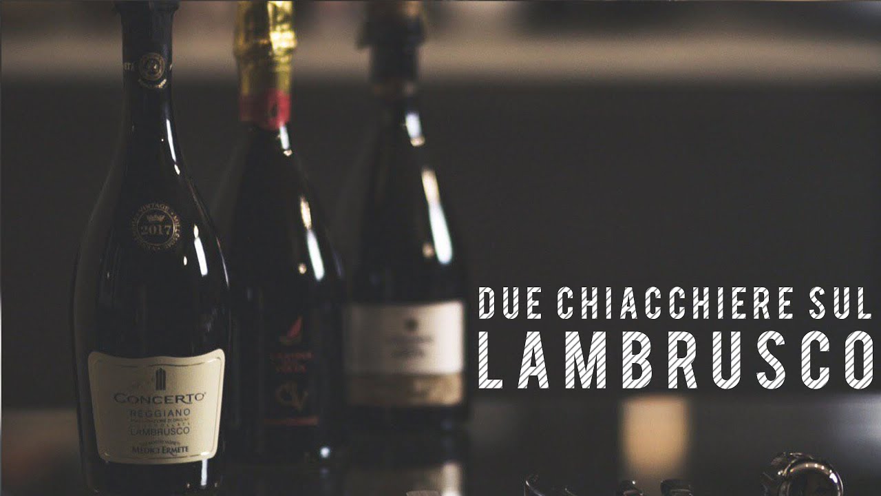Due chiacchiere sul Lambrusco | Introduzione alla degustazione
