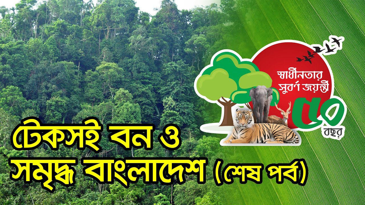 টেকসই বন ও সমৃদ্ধ বাংলাদেশ । Sustainable Forest and Enriched Bangladesh | 2021 | *Evergreen Forest*