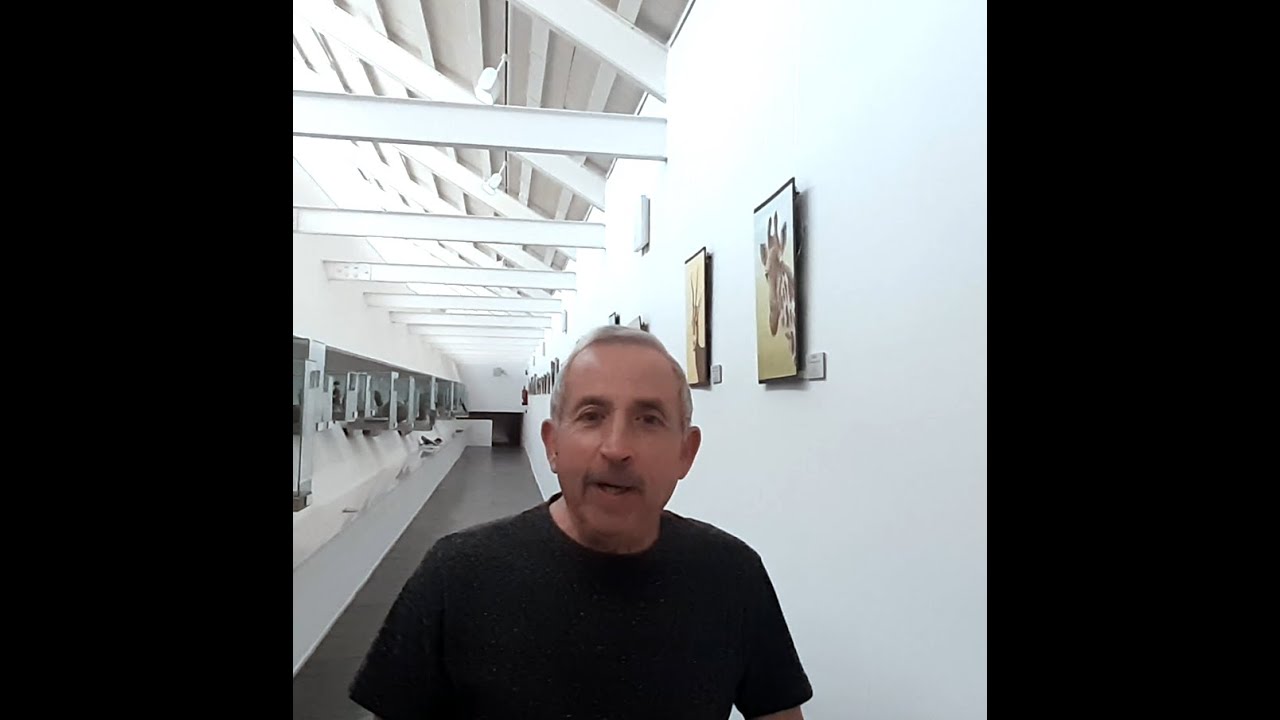 Encuentros con el autor: Fernando Bayo (4). Herb&iacute;voros.