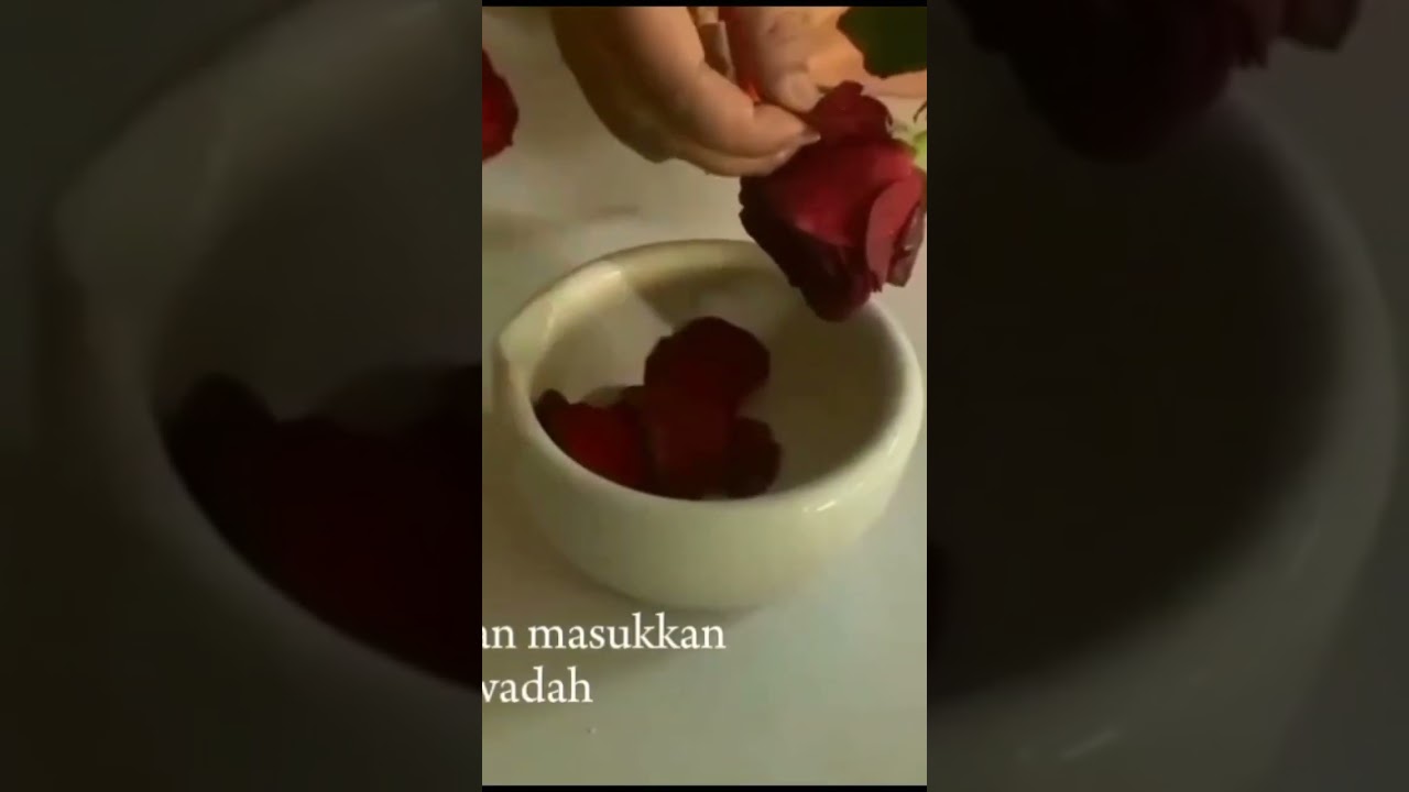 Membuat parfum dari bunga mawar
