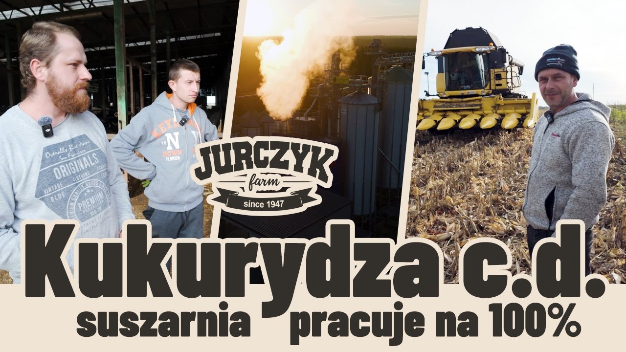 99. Nie tylko kukurydza! Suszarnia, remont hali udojowej i życie na gospodarstwie 🚜🐄