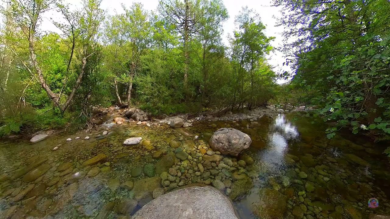 Au cœur de la montagne corse, à Corte ( haute Corse ) au bord de la rivière de la Restonica