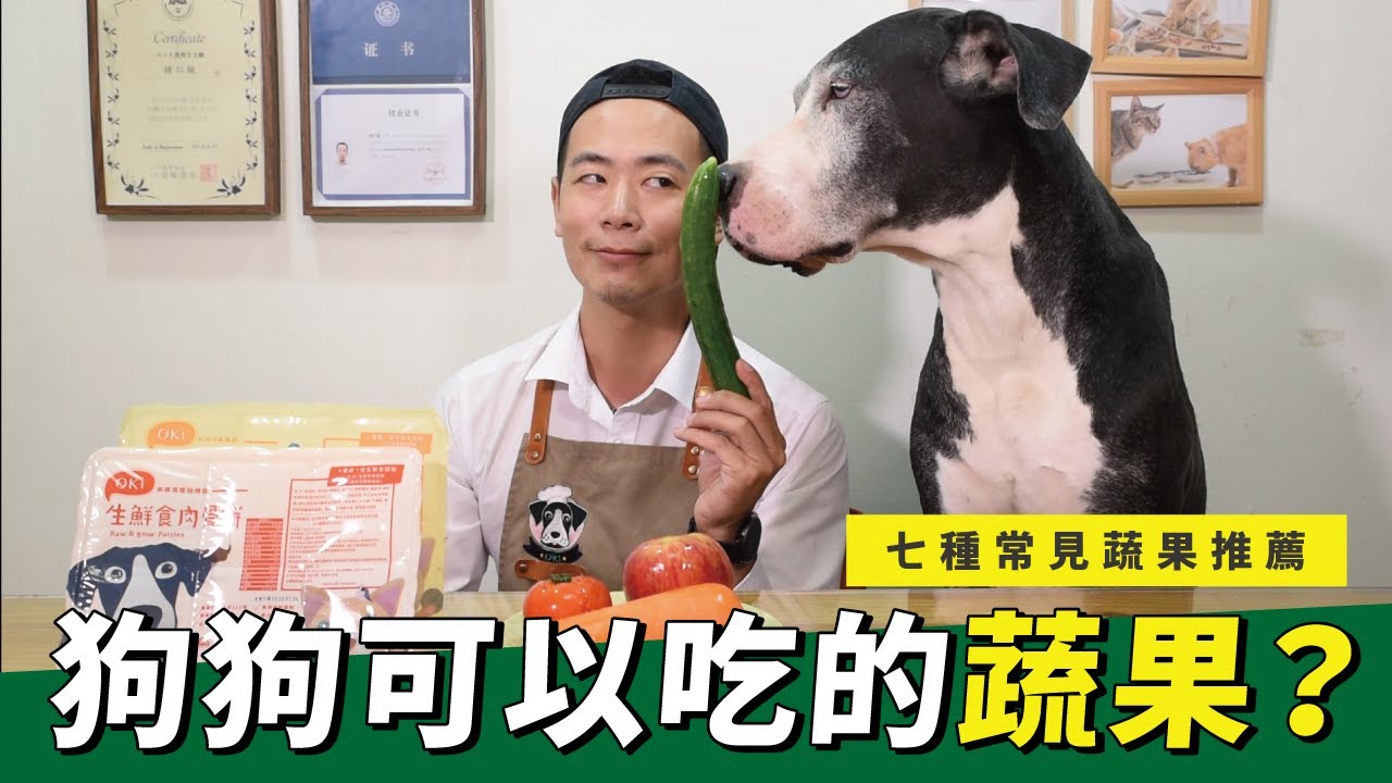 【主人快筆記！】狗狗可以吃的7種蔬果