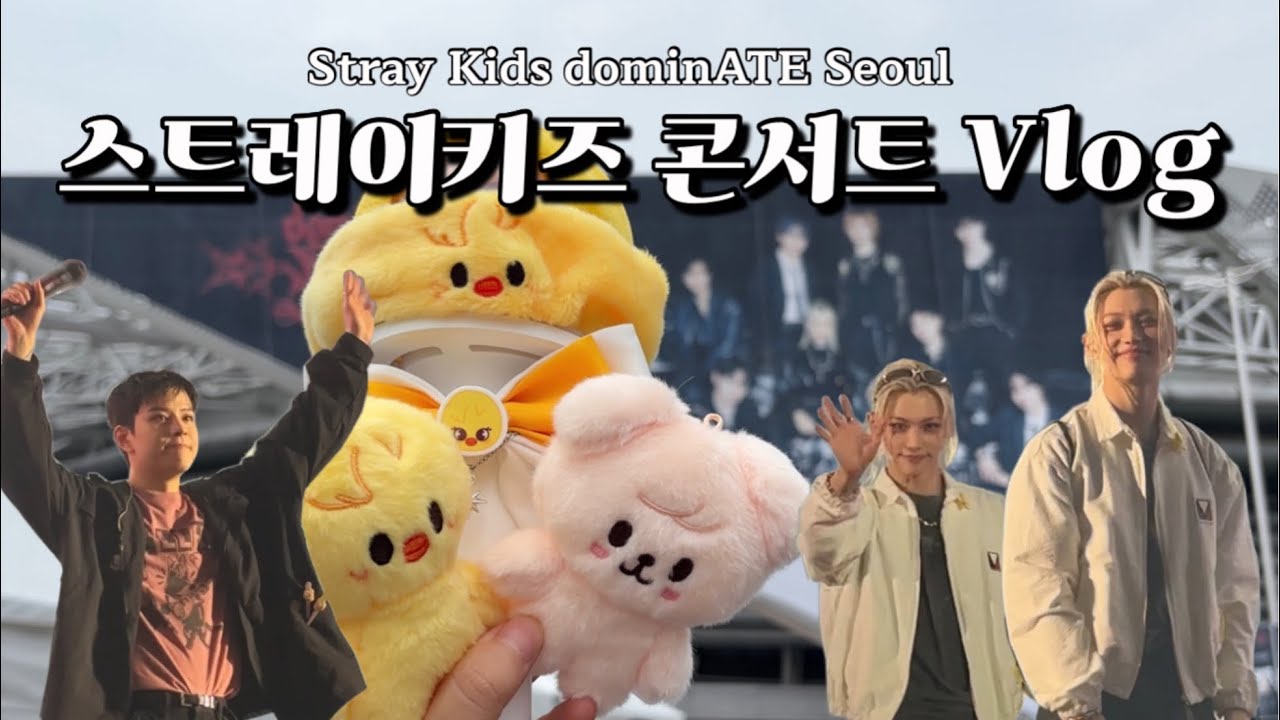 스키즈 콘서트 가는 브이로그  |  올콘 후기  |  STAY vlog  |  dominATE Seoul