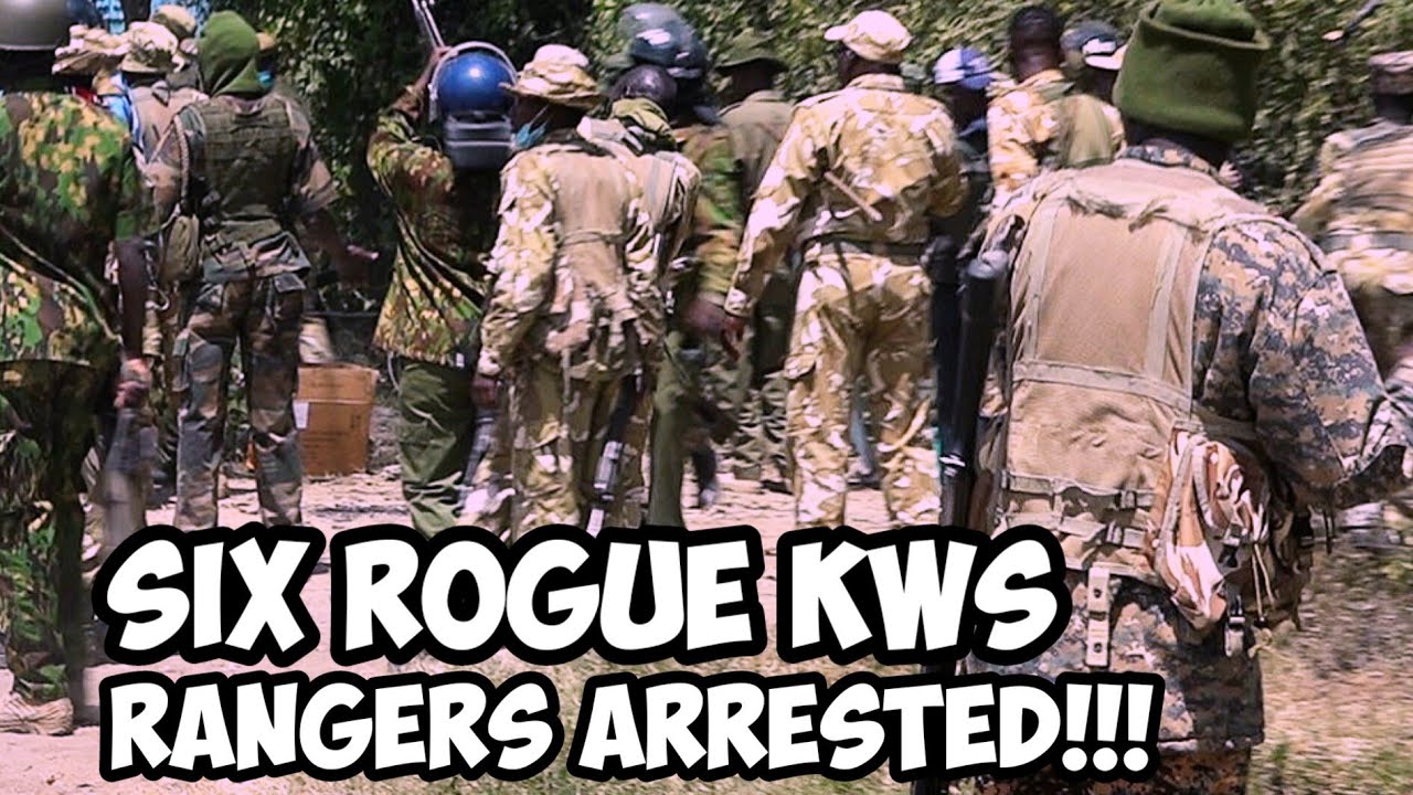 BREAKING: Six Rogue KWS Rangers Allegedly KÌLLED Brian Odhiambo ARRESTED