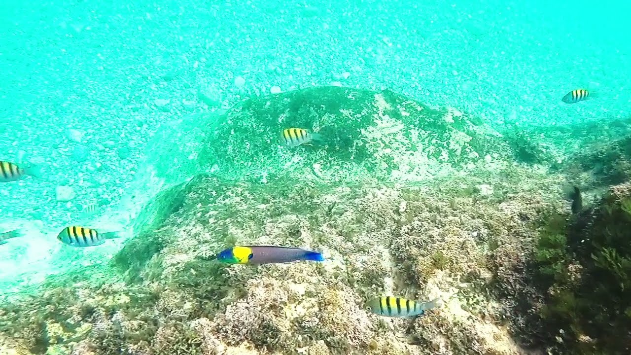 Piedras Pintas en San Carlos, Sonora: Una de las playas más bonitas de Sonora