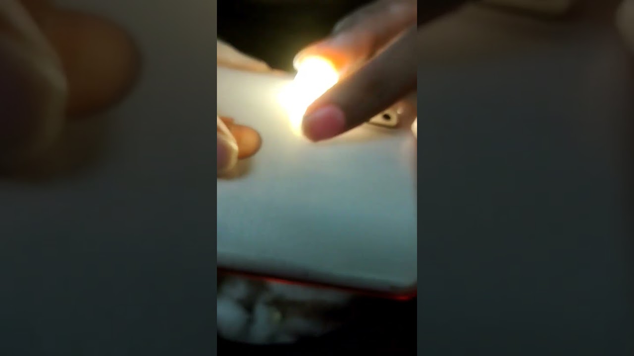 canary bird egg candling