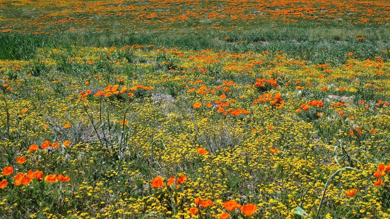 Day 6 l One Week Capacity Building Program