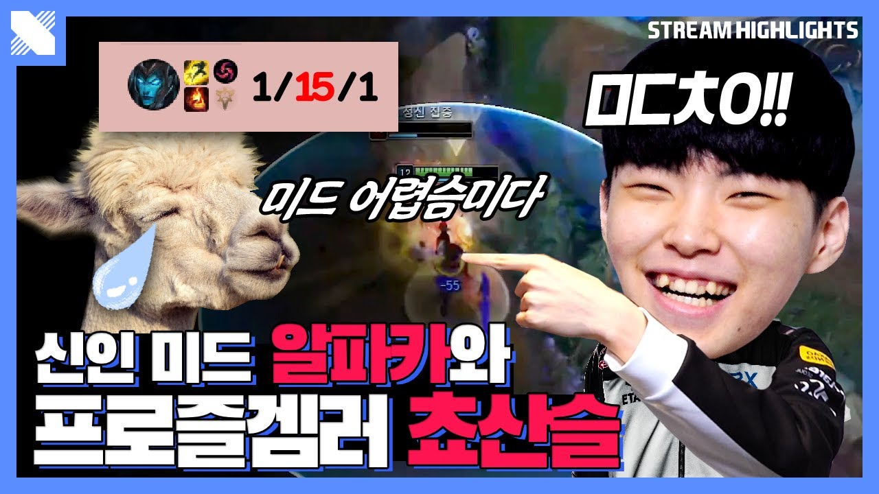 비상! 비상!! 쵸비상!!! 쵸비가 소리지른 이유는?!  | DRX 미드 쵸비 | 거침없이 DRX | DRX