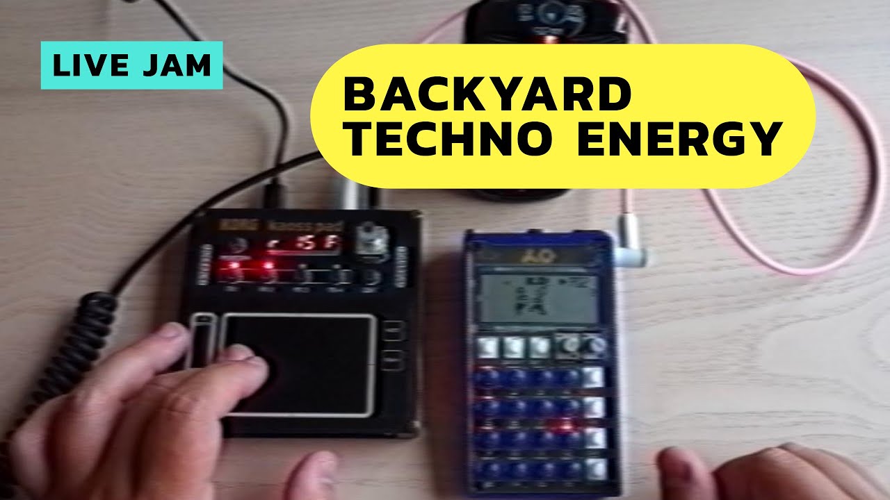PO 33 + Korg NTS 3 = Backyard Techno Party
