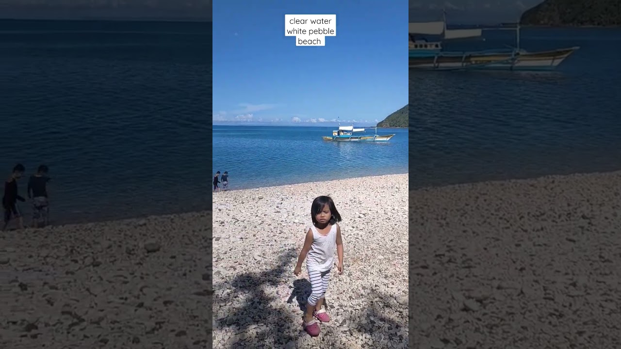 clear water white pebble beach #beach #shorts #sea #trending #nature #clearwaterbeach