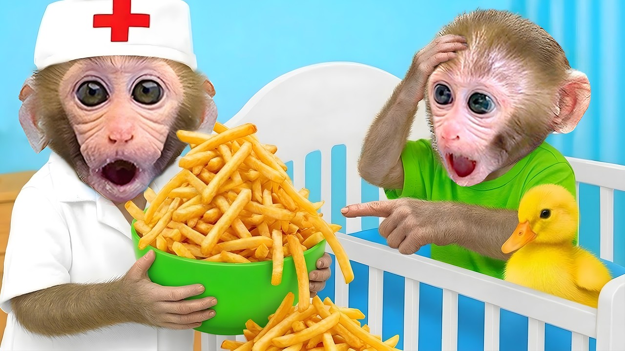 Singe BonBon est très heureux de voir le petit chat venir l’aider à construire une ferme de pommes