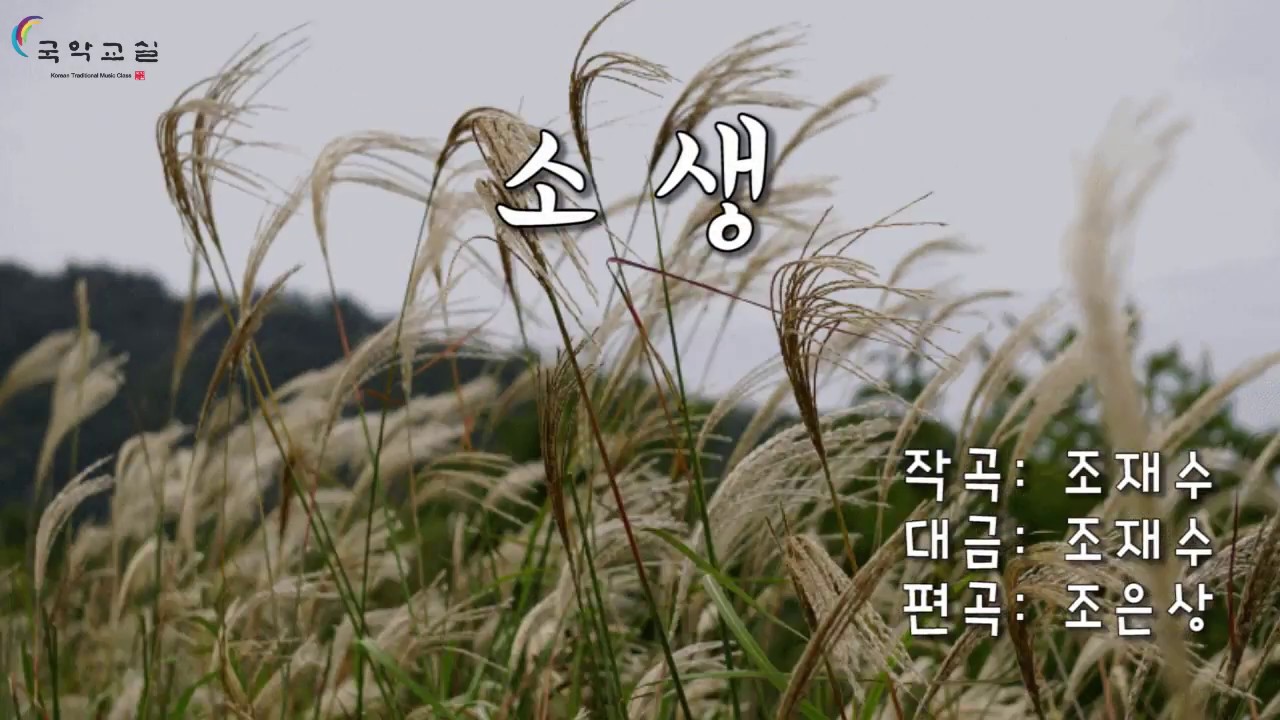 소생 (대금 조재수)