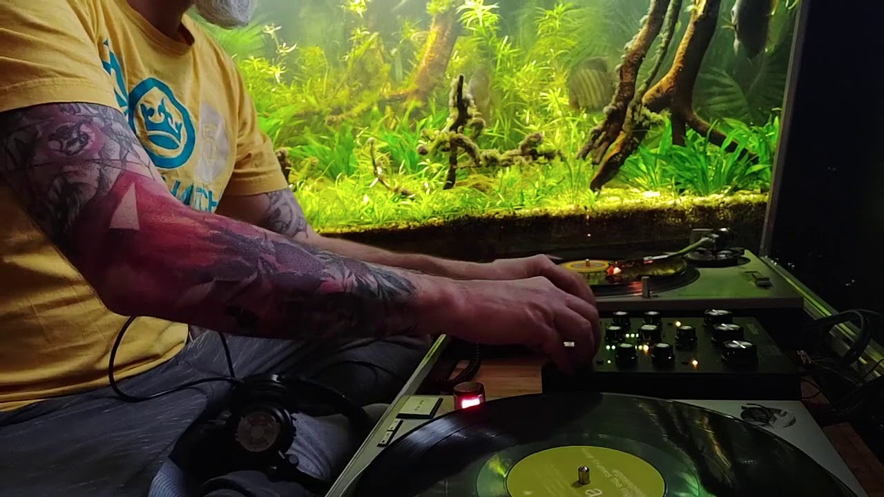 rotary dj mixer, SubZero 2