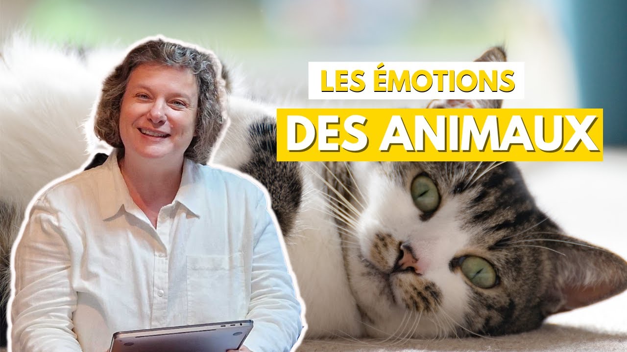 Les émotions animales : Mythe ou Réalité ?