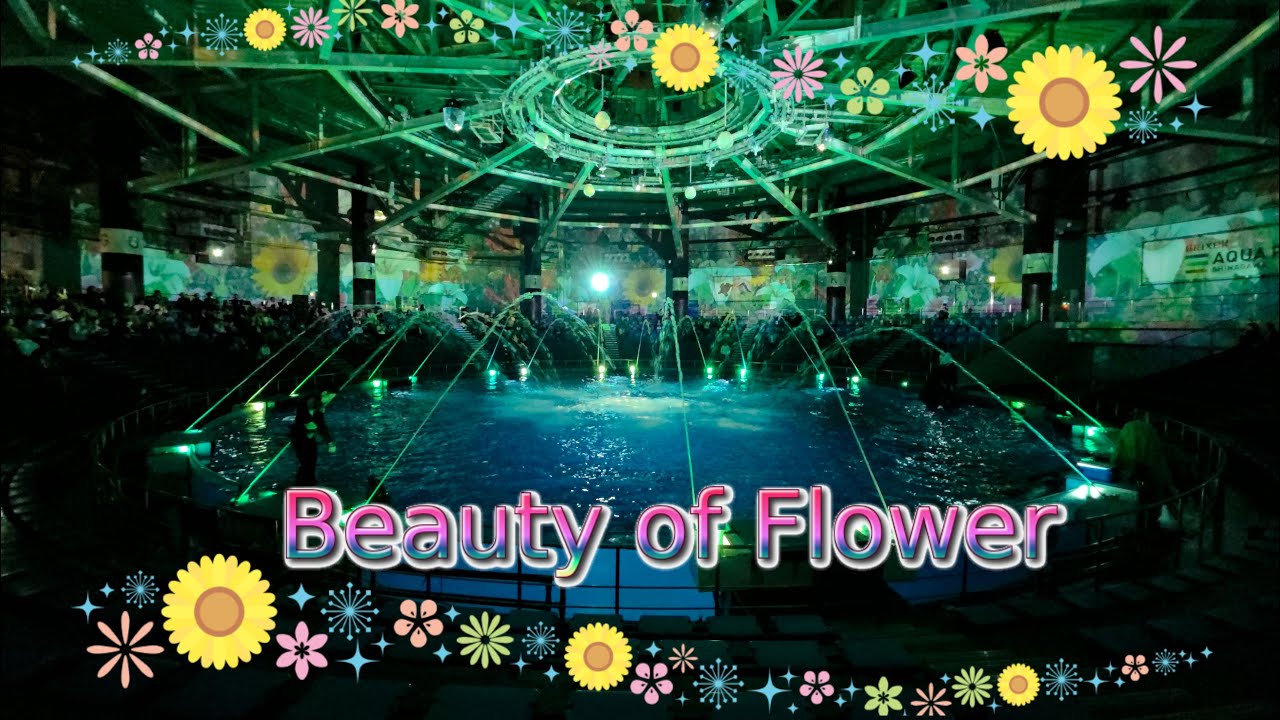 【完全版】マクセルアクアパーク品川 ドルフィンパフォーマンス（イルカショー）　ナイトVer.「Beauty of Flower2025」【4K】