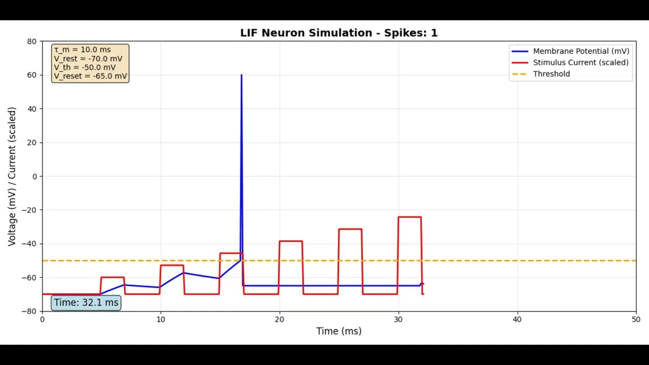 neuron stimuli simulation using LIF model