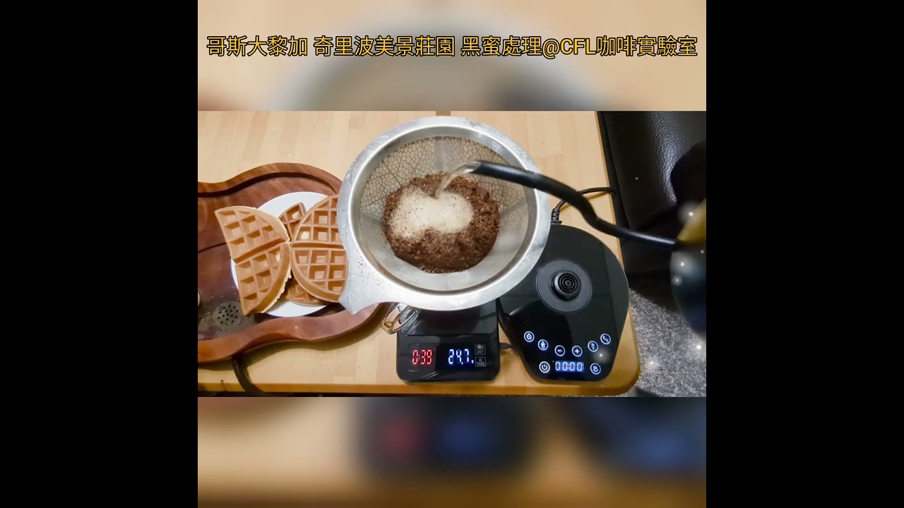 哥斯大黎加 奇里坡美景莊園 黑蜜處理 淺中烘焙@CFL咖啡實驗室