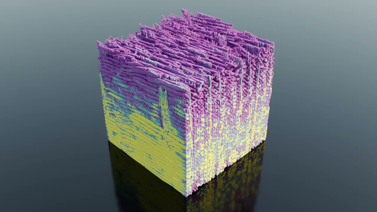 Douglas Fir Wood Microstructure Fluid Transport Simulation