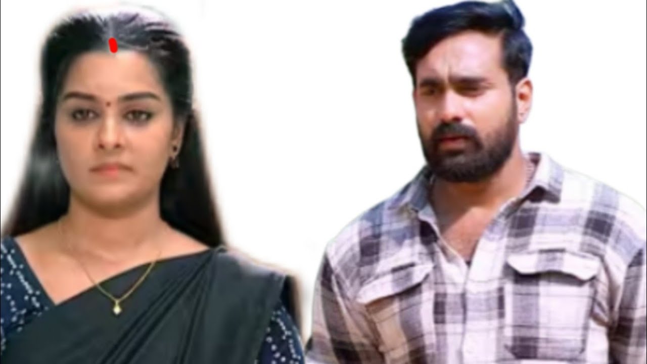 പാർവതിയെ സന്തോഷിപ്പിക്കാൻ പെടാപ്പാട് പെട്ടു പ്രിയൻ 