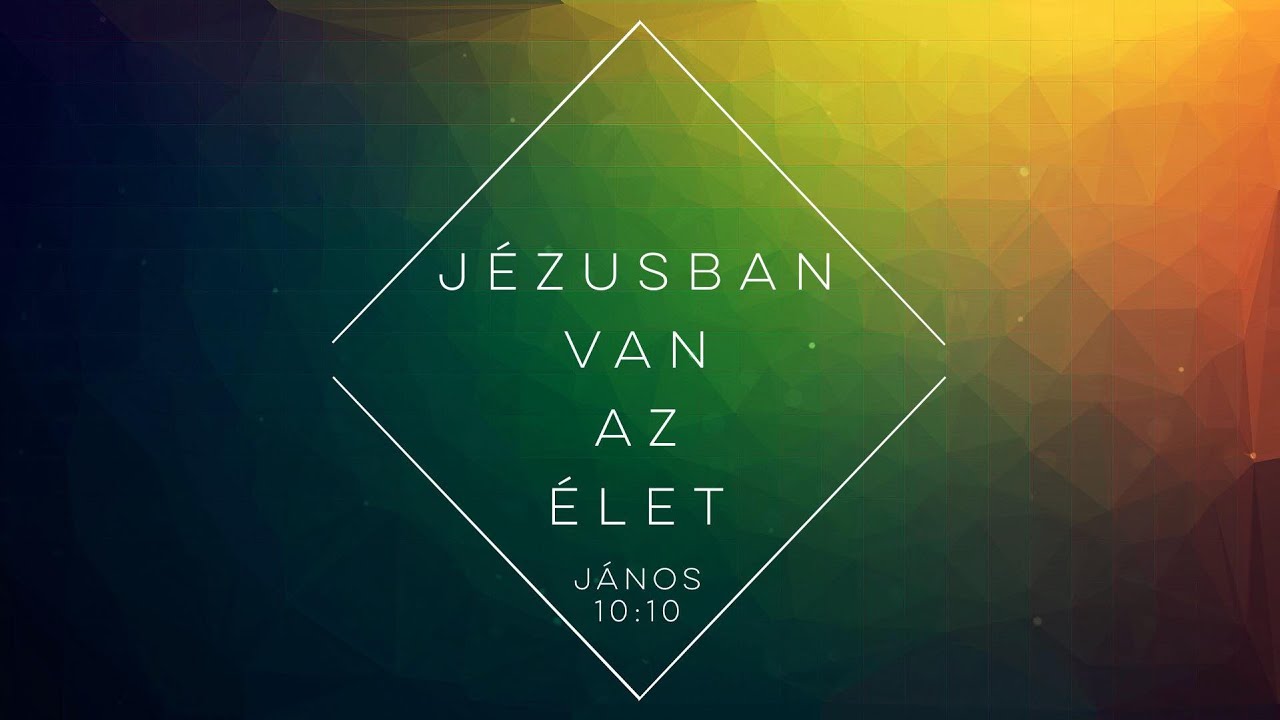 2026.01.31.- Pethő Judit